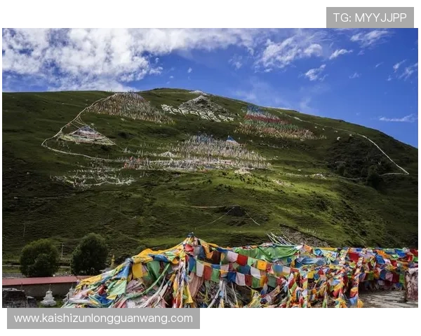 尊龙铠时 人生就是搏:在风雨中磨炼意志,打造坚不可摧的人生战士 尊龙铠时 人生就是搏:在风雨中磨炼意志,打造坚不可摧的人生战士