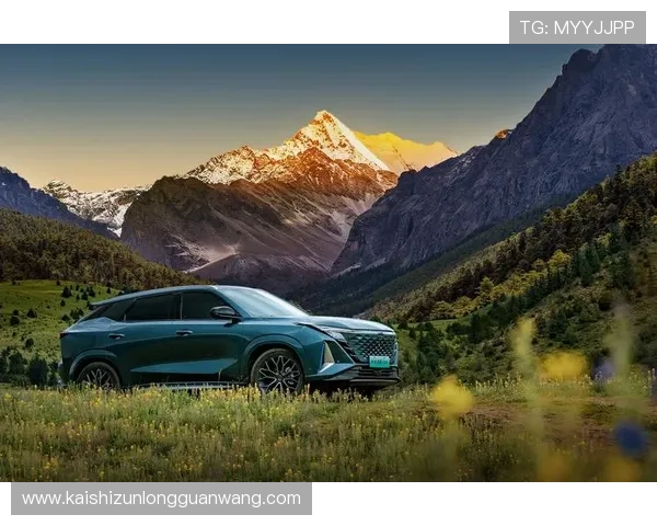 尊龙z6尊享体验官方旗舰店，打造高端豪华座驾新标准