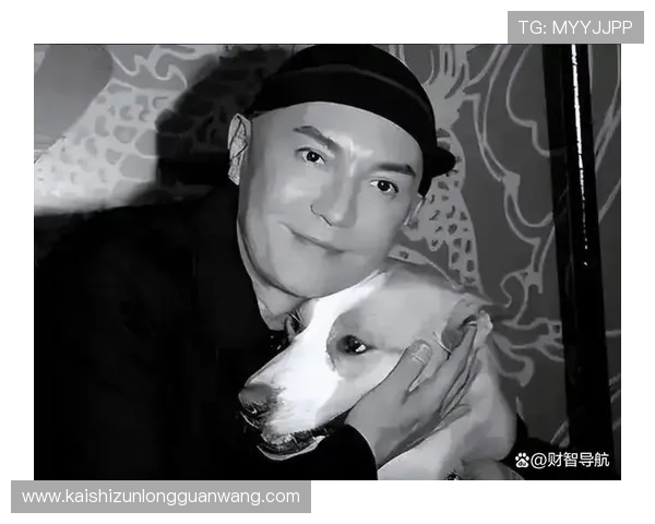 尊龙爱导航：尊龙爱导航在导航精准度方面的技术优势分析