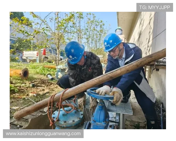 全面解析Z6娱乐平台的安全保障措施与资金保障方案